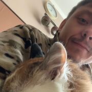 ���������� ������, ���� ������� ���, 35 ���, ������������ ��� ������, ����� � ���������