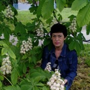  ,   , 55 ,   ,   , c 