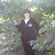 ���������� ������ ���, ���� ������� �������, 56 ���, ������������ ��� ������, ����� � ���������, c�������� ���������