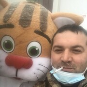 ���������� ������, ���� ������� ����, 41 ���, ������������ ��� ������, ����� � ���������