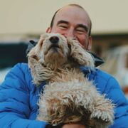 ���������� ���������, ���� ������� ����, 36 ���, ������������ ��� ������, ����� � ���������