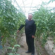  ,   Sattor, 54 ,   ,   , c , 