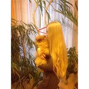 ���������� ������, ���� ������� ���������, 26 ���, ������������ ��� ������, ����� � ���������