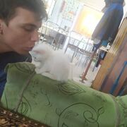  --,   , 26 ,   ,   , c , 