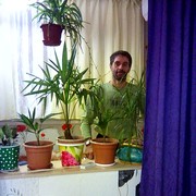  ,   , 51 ,   
