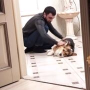 ���������� ��������, ���� ������� ���������, 35 ���, ������������ ��� ������, ����� � ���������