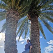 ���������� ������, ���� ������� �����, 56 ���, ������������ ��� ����� � ���������, c�������� ���������, ���������