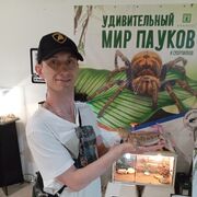  ,   , 46 ,   ,   , c , 