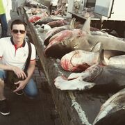 ���������� ������, ���� ������� ��������, 40 ���, ������������ ��� ������, ����� � ���������, c�������� ���������, ���������