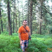 ���������� ����, ���� ������� �����, 43 ����, ������������ ��� ������, ����� � ���������, c�������� ���������