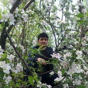 ���������� �������, ���� ������� ������, 33 ����, ������������ ��� ������, ����� � ���������, c�������� ���������, ���������