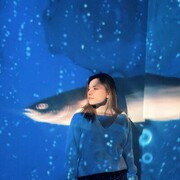 ���������� ������, ���� ������� ����, 23 ����, ������������ ��� ������, ����� � ���������, c�������� ���������