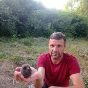  ,   Alexander, 48 ,     , c 