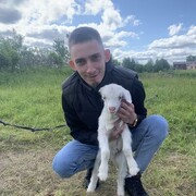 ���������� ����������, ���� ������� ����, 32 ����, ������������ ��� c�������� ���������