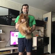  ,   , 49 ,   ,   , c , 