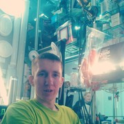 ���������� �������, ���� ������� �������, 38 ���, ������������ ��� ������, ����� � ���������, c�������� ���������