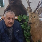  ,   , 53 ,   ,   