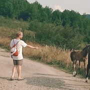  -,   , 43 ,  