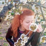 ���������� ������, ���� ������� �����, 28 ���, ������������ ��� ������, ����� � ���������