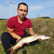 ���������� ���������, ���� ������� ANATOLY, 36 ���, ������������ ��� ������, ����� � ���������, ���������