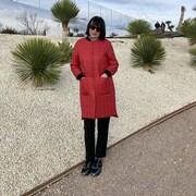 ���������� �����������, ���� ������� ������, 60 ���, ������������ ��� c�������� ���������