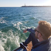 ���������� ����������, ���� ������� ����, 31 ���, ������������ ��� ������, ����� � ���������