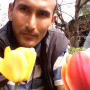  ,   Abdujalil, 43 ,   ,   , c 