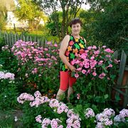  ,   , 60 ,   ,   
