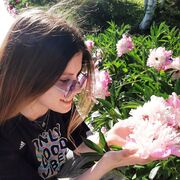  ,  Di, 23
