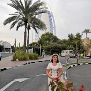 ���������� �������� � �������� 2019