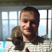 ���������� ����, ���� ������� ����, 38 ���, ������������ 