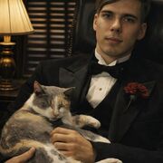 ���������� ��������, ���� ������� �������, 26 ���, ������������ ��� ������, ����� � ���������, c�������� ���������, ���������