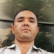  ,  Doni, 33