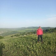 ���������� ����, ���� ������� ������, 40 ���, ������������ ��� ������, ����� � ���������, c�������� ���������, ���������