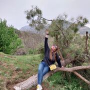   ,   , 55 ,   ,   