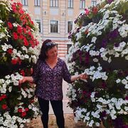 ���������� ������, ���� ������� ����, 50 ���, ������������ ��� ������, ����� � ���������, c�������� ���������