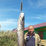  ,   , 46 ,   