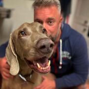 ���������� ������������, ���� ������� �������, 42 ����, ������������ ��� ������, ����� � ���������, c�������� ���������, ���������