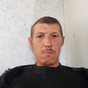   ,  , 43