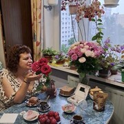 ���������� �����-���������, ���� ������� �������, 50 ���, ������������ ��� ������, ����� � ���������, c�������� ���������