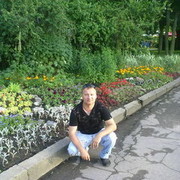  -,   Foks, 60 ,   