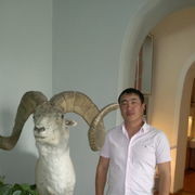 ���������� ������, ���� ������� Mustang, 38 ���, ������������ 