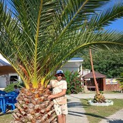 ���������� ����, ���� ������� �������, 26 ���, ������������ ��� ������, ����� � ���������