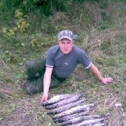  ,   , 54 ,  