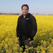  Babol,   Mehmet, 36 ,   ,   