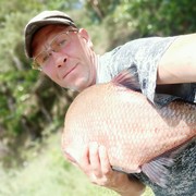 ���������� ������, ���� ������� �������, 52 ����, ������������ ��� ������, ����� � ���������, c�������� ���������