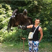 ���������� �����-���������, ���� ������� ������, 29 ���, ������������ ��� ������, ����� � ���������, c�������� ���������