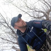  ,   , 44 ,     , c , 