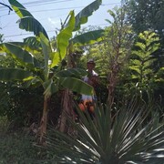 ,   , 57 ,   ,   