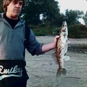  ,   Vokal, 67 ,   